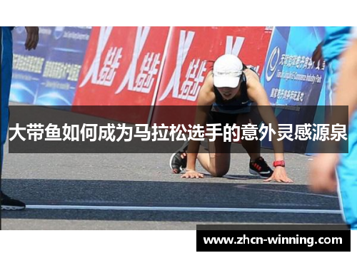 大带鱼如何成为马拉松选手的意外灵感源泉