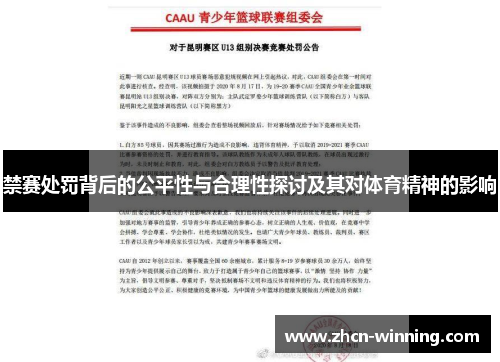 禁赛处罚背后的公平性与合理性探讨及其对体育精神的影响